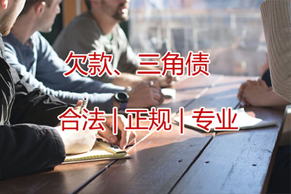 个人借款对企业合法性的探讨
